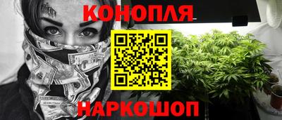 гидропоника Сланцы