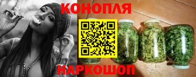гидропоника Сланцы