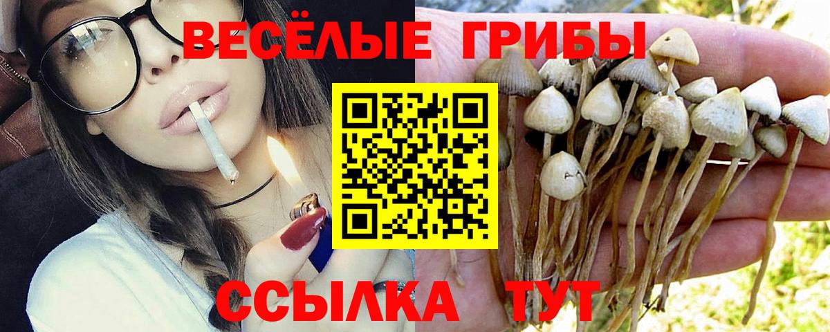 Азнакаево  Псилоцибиновые грибы MAGIC MUSHROOMS  Псилоцибиновые грибы прущие грибы  Вход с VPN 